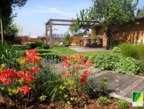 ogród trzy poziomy, kilka pionów, Oleszka